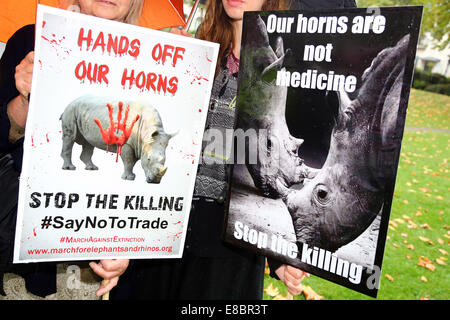 Londres, Royaume-Uni. 4e octobre 2014. Les manifestants avec des pancartes et des bannières à la Marche Mondiale pour les éléphants et rhinocéros, Londres, Angleterre. Pluie n'a pas refroidir l'enthousiasme des marcheurs la prise de conscience de la situation critique des éléphants et rhinocéros qui entre autres choses sont tués par les braconniers pour l'ivoire et de souvenirs. Crédit : Paul Brown/Alamy Live News Banque D'Images