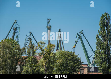 Les grues de chantier naval connu aussi sous le portique ou grue portuaire de Gdansk Shipyard (ancien chantier naval Lénine de Gdansk, Pologne) Banque D'Images