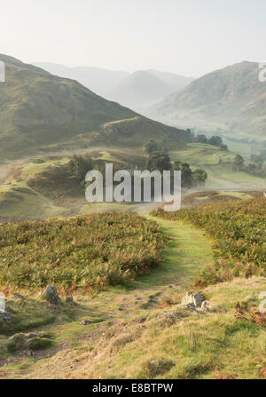 Vue depuis l'automne Hallin ont chuté au cours de l'église St Pierre, Martindale, Beda tête et la NAB, Lake District Banque D'Images