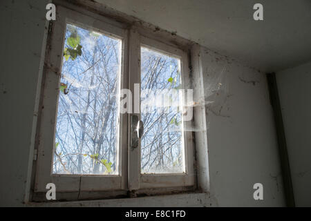 Fenêtre avec toile d'araignée dans une maison abandonnée Banque D'Images