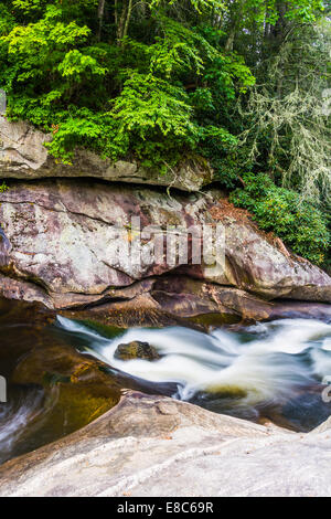 Cascades sur la rivière Cullasaja dans la forêt nationale de Nantahala, Caroline du Nord. Banque D'Images