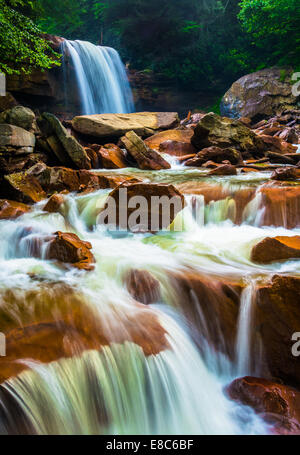 Douglas Falls, sur la rivière Blackwater dans la forêt nationale de Monongahela, West Virginia. Banque D'Images