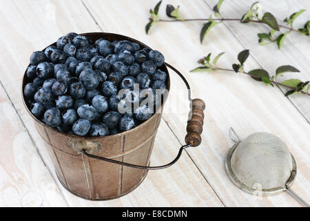 High angle shot d'un seau en métal plein de bleuets frais pris sur une table de cuisine en bois rustique. Format horizontal partie avec Banque D'Images