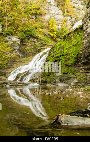 La section inférieure de Lucifer Falls à l'automne vu de la Creek dans Robert H. Treman State Park en Trumansburg, New York Banque D'Images