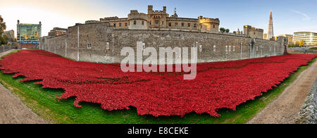 Tour de Londres coquelicots dans les douves HRP-Tower Londres -WW1-LogoFrom 5 août 2014 au 11 novembre 2022 Banque D'Images