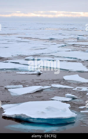 002 Arctic ice Ice est poussée à l'opposé de la coque du garde-côte de Healy le 26 août 2009. Banque D'Images