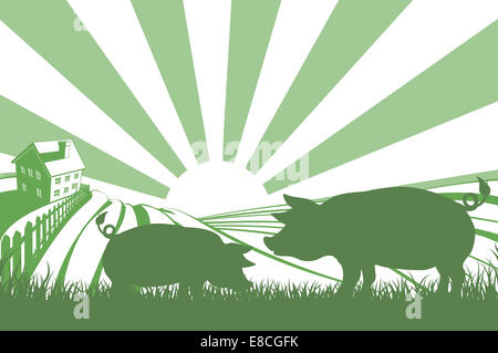 Une illustration d'une silhouette des porcs dans un champ sur une ferme avec sunrise et ferme à l'arrière-plan Banque D'Images