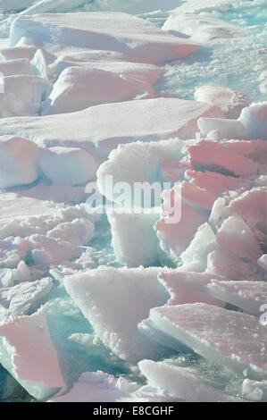 La glace brisée la glace est poussée à l'opposé de la coque du garde-côte de Healy 1er septembre 2009. Banque D'Images