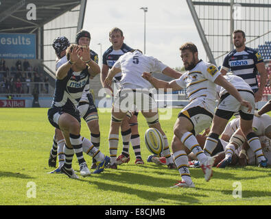 Manchester, Greater Manchester, UK. 5Th Oct, 2014. 5e septembre 2014, la vente le demi de mêlée CHRIS CUSITER s'étend vers le bas pour charger un jeu coup de demi de mêlée de guêpes Charlie Davies au cours de la Sale Sharks -V- guêpes match au stade AJ Bell : Crédit : Steve Flynn/ZUMA/Alamy Fil Live News Banque D'Images