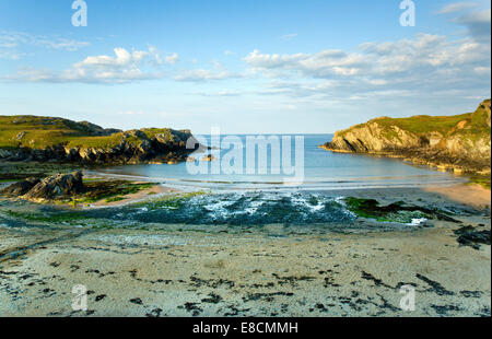 Plage de Porth Dafarch sur la côte ouest de l'île sacrée partie de l'île d'Anglesey (Sir Ynys Mon) au nord du Pays de Galles UK en été. Banque D'Images