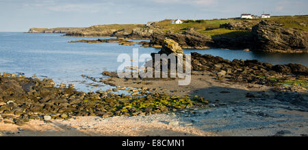 Plage de Porth-y- Poster près de Trearddur Bay sur la côte ouest de l'île sacrée partie de l'île d'Anglesey (Sir Ynys Mon) North Banque D'Images