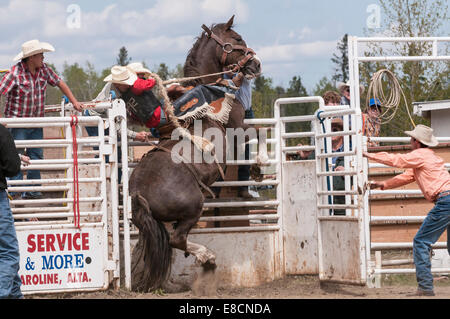 Cowboy projetés de son cheval, monte à cheval, Caroline, Caroline du Stampede, Alberta, Canada Banque D'Images