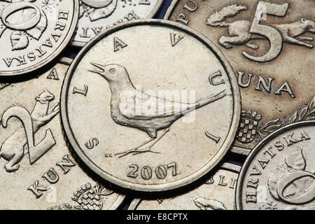 Coins de la Croatie. Nightingale (Luscinia megarhynchos) représenté dans la pièce d'un Croate, la kuna. Banque D'Images