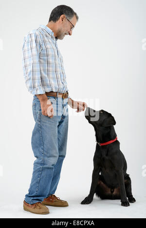 Man petting dog labrador retriever noir Banque D'Images