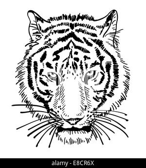 Artwork de tiger face portrait, chef d'ossature Banque D'Images
