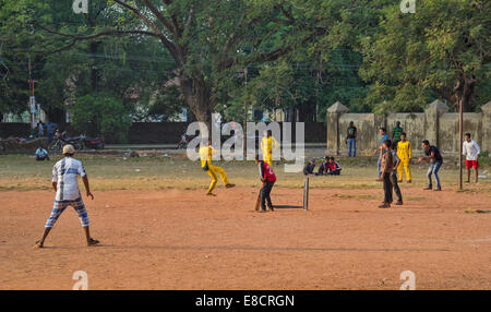 Le cricket SE JOUE SUR UN PARC OU MAIDAN À KOCHI OU COCHIN INDE Banque D'Images