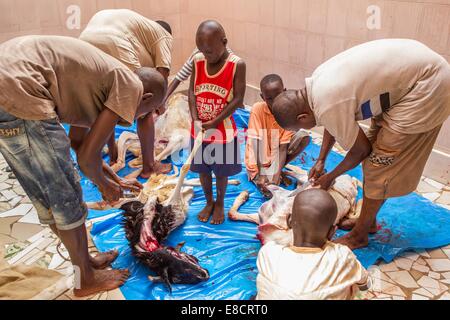 Dakar, Sénégal. 5Th Oct, 2014. Une famille sénégalaise membres masculins de préparer la viande de chèvre pour l'Eid al-Adha festival à la Grande Mosquée de Dakar, Sénégal, 5 octobre 2014. Crédit : Li Jing/Xinhua/Alamy Live News Banque D'Images