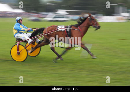 Stanhope, Angleterre - 13 septembre 2014 : la course à l'Exposition agricole de Stanhope Banque D'Images