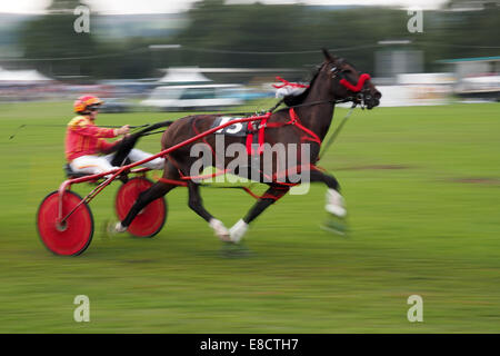 Stanhope, Angleterre - 13 septembre 2014 : la course à l'Exposition agricole de Stanhope Banque D'Images