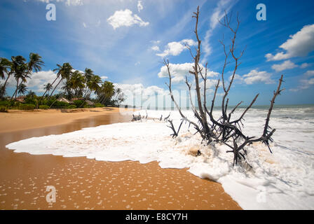 Plage tropicale à tangalla Sri lanka Banque D'Images