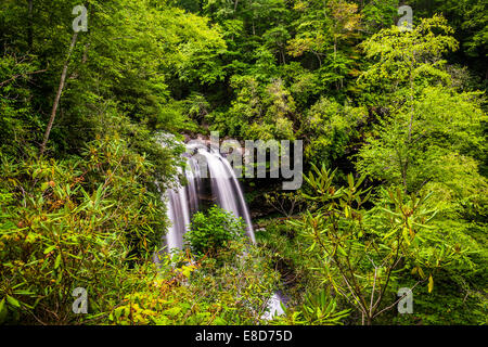 View of Dry Falls, dans la forêt nationale de Nantahala, Caroline du Nord. Banque D'Images