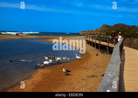 Platja de Binimel-la, Es Mercadal, Minorque, Iles Baléares, Espagne Banque D'Images