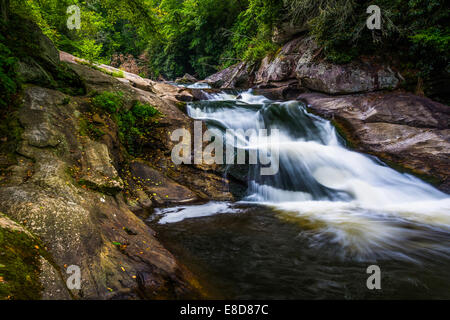 Cascade sur la rivière Cullasaja dans la forêt nationale de Nantahala, Caroline du Nord. Banque D'Images