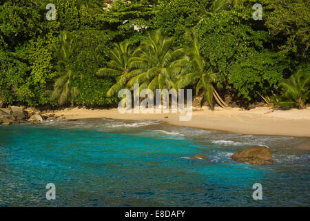 Plage, Beau Vallon, Mahe, Seychelles Banque D'Images