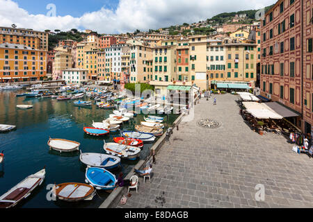 Port avec bateaux de pêche, Camogli, Ligurie, Riviera di Levante, Italie Banque D'Images