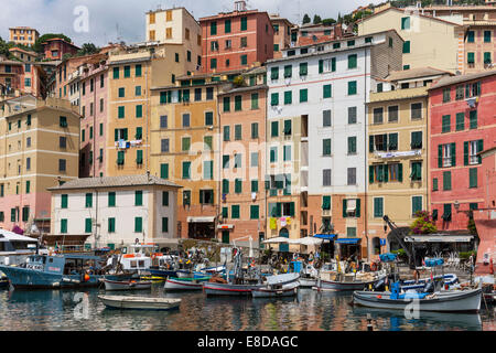 Port avec bateaux de pêche, Camogli, Ligurie, Riviera di Levante, Italie Banque D'Images