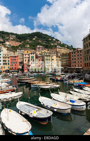 Port avec bateaux de pêche, Camogli, Ligurie, Riviera di Levante, Italie Banque D'Images