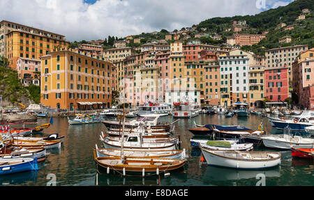 Port avec bateaux de pêche, Camogli, Ligurie, Riviera di Levante, Italie Banque D'Images