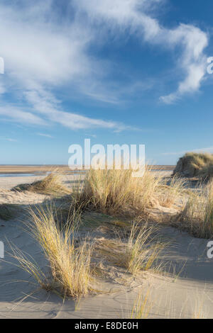 Une vue de Holkham Bay dans North Norfolk Banque D'Images