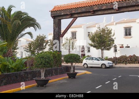 Palmiers à l'extérieur d'une Villa Tenerife Banque D'Images