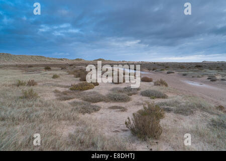 Une vue de Holkham Bay dans North Norfolk Banque D'Images