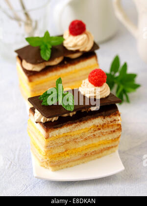 Gâteau éponge avec de la crème anglaise et tiramisu. Recette disponible. Banque D'Images
