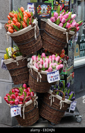 Tulipes en bois dans le marché aux fleurs d'Amsterdam Banque D'Images