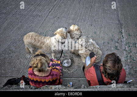 Les propriétaires de chiens de prendre une pause tout en dehors de leurs animaux de compagnie. England UK Banque D'Images