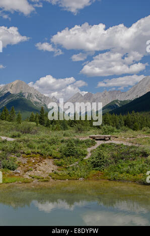 Les pots d'encre, canyon Johnston, British Columbia, Canada Banque D'Images