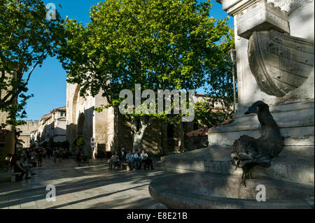 Place Saint Louis, Aigues Mortes, Gard, Languedoc Roussillon, France Banque D'Images