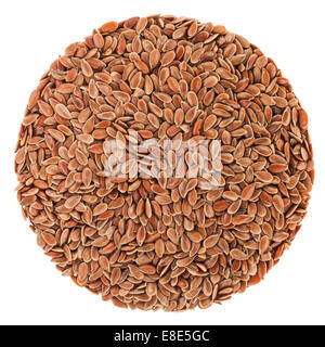 Gros plan extrême de Linseeds - détails studio shot Banque D'Images