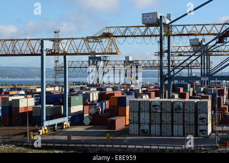 Portiques et des conteneurs au port de Belfast docks Banque D'Images