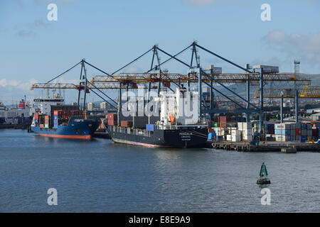 Contenant deux navires ont accosté au port de Belfast, Irlande du Nord UK Banque D'Images