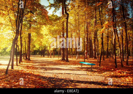 Journée ensoleillée en extérieur parc avec arbres d'automne et de banc. Incroyable de couleurs automne nature paysage Banque D'Images