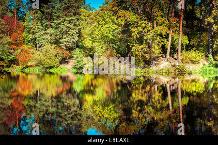 Journée ensoleillée en extérieur parc avec lac et arbres aux couleurs automnales sous réflexion ciel bleu. Incroyable de couleurs automne nature Banque D'Images