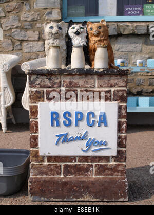 La RSPCA ancien style collection coffret en forme de trois chats avec des bouteilles de lait sur un mur, Lyme Regis, dans le Dorset, UK Banque D'Images