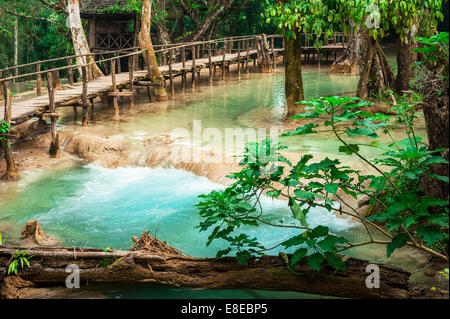 Jangle paysage de forêt tropicale humide paysage avec pont de bois et de l'eau turquoise magnifique cascade de Kuang Si waterfall. Banque D'Images