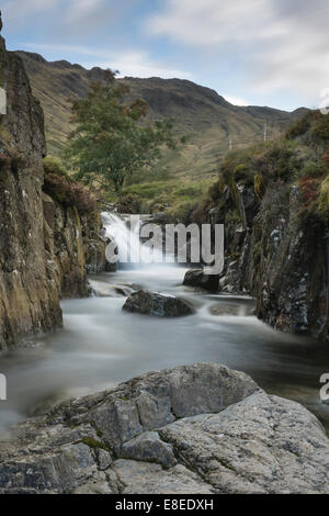 Cascade sur les céréales Gill à Stockley, Pont Seathwaite, vallée de Borrowdale, Lake District Banque D'Images