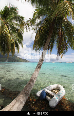 Tropical eau et bateau à Moorea Banque D'Images