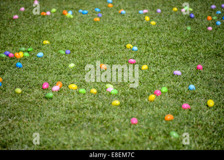 Oeufs de Pâques en plastique en couleur de l'herbe verte chasse aux oeufs sur le terrain de chasse de pointe différentes couleurs Banque D'Images